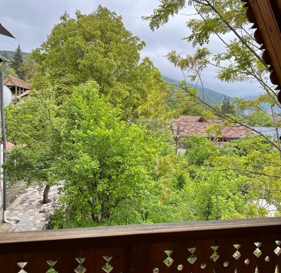 پانسیون Old Dili