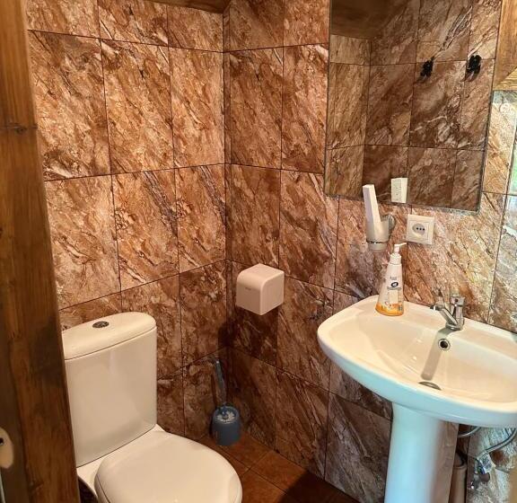 پانسیون Old Dili