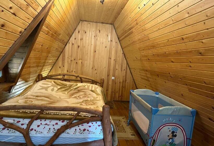 پانسیون Old Dili