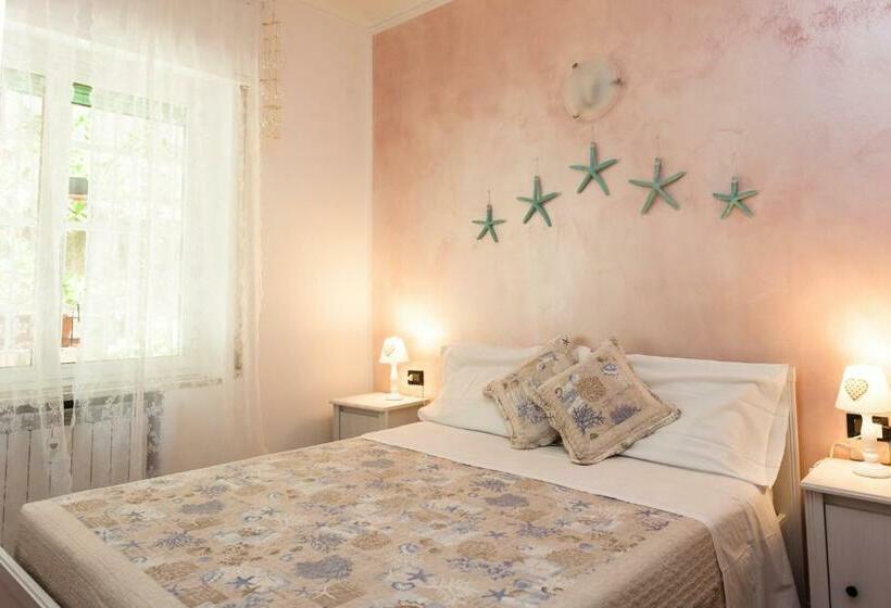 بنسيون Stella Marina