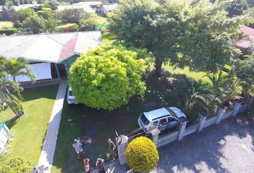 Hotel Bed And Breakfast Little Italy