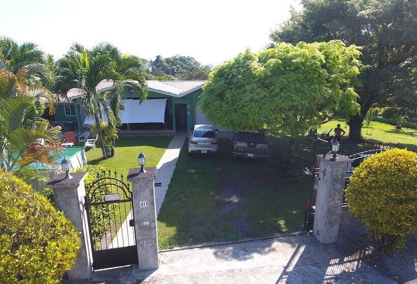 Hotel Bed And Breakfast Little Italy