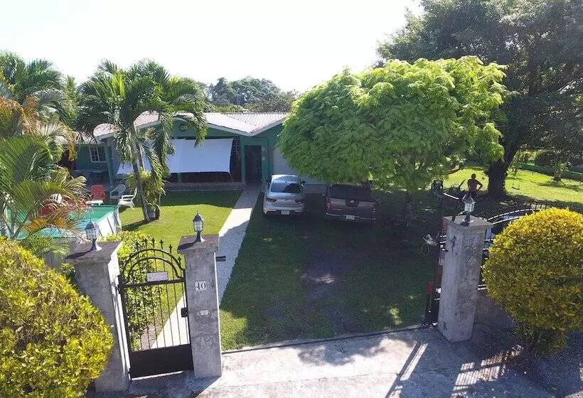 ホテル Bed And Breakfast Little Italy