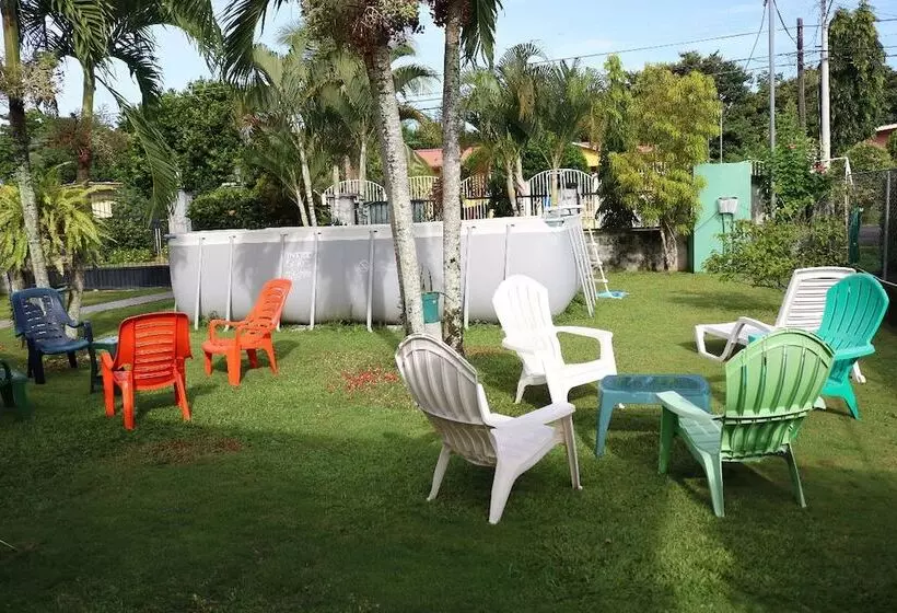 ホテル Bed And Breakfast Little Italy