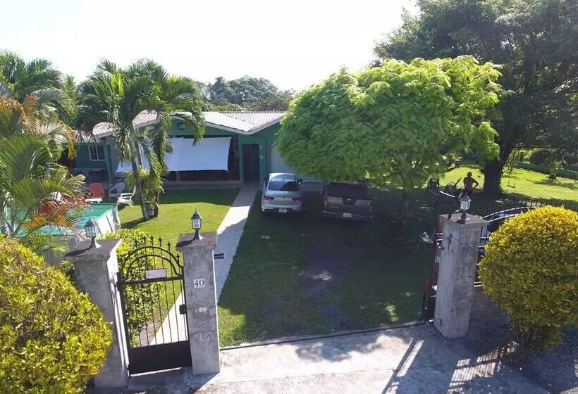 ホテル Bed And Breakfast Little Italy