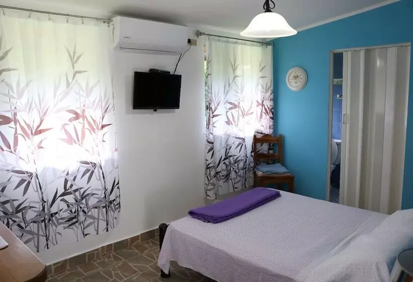ホテル Bed And Breakfast Little Italy