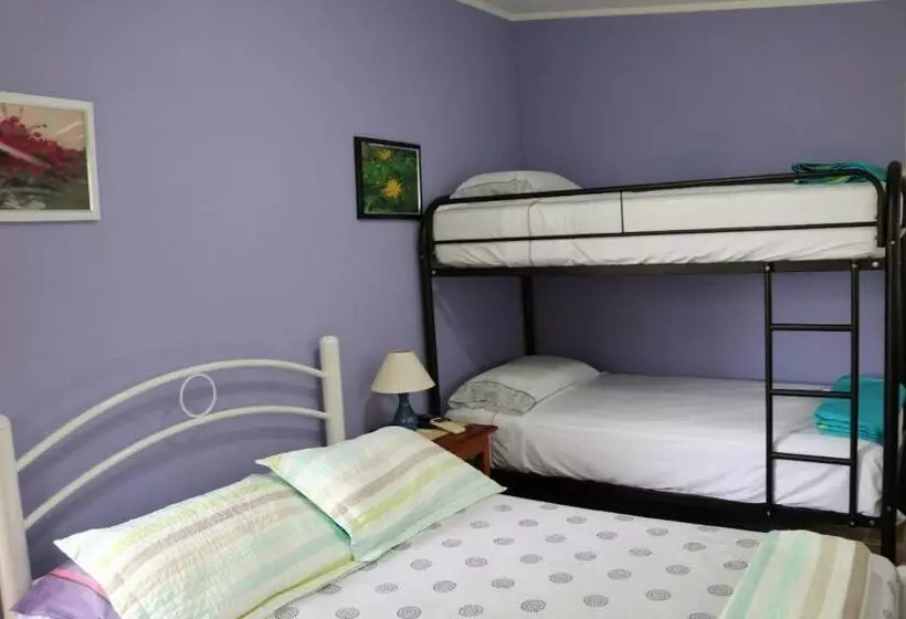 ホテル Bed And Breakfast Little Italy