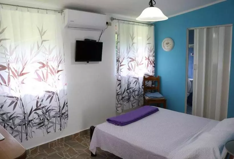 ホテル Bed And Breakfast Little Italy