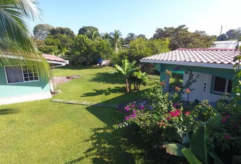 ホテル Bed And Breakfast Little Italy