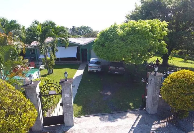 ホテル Bed And Breakfast Little Italy