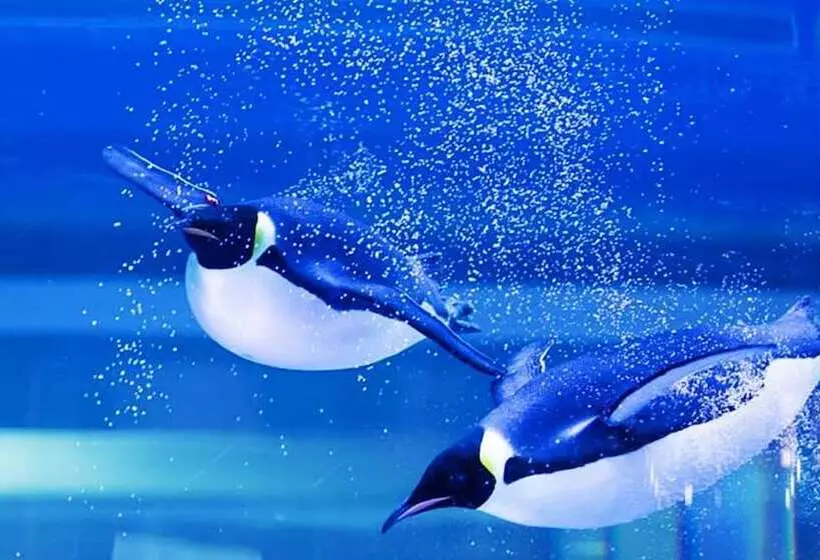 Hotelli Holiday Inn Shanghai Dishui Lake By Ihg