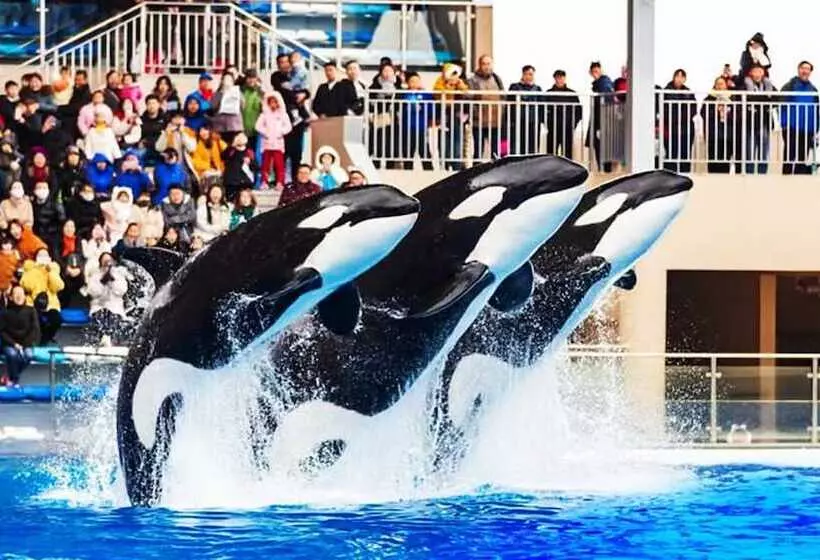 Hotelli Holiday Inn Shanghai Dishui Lake By Ihg