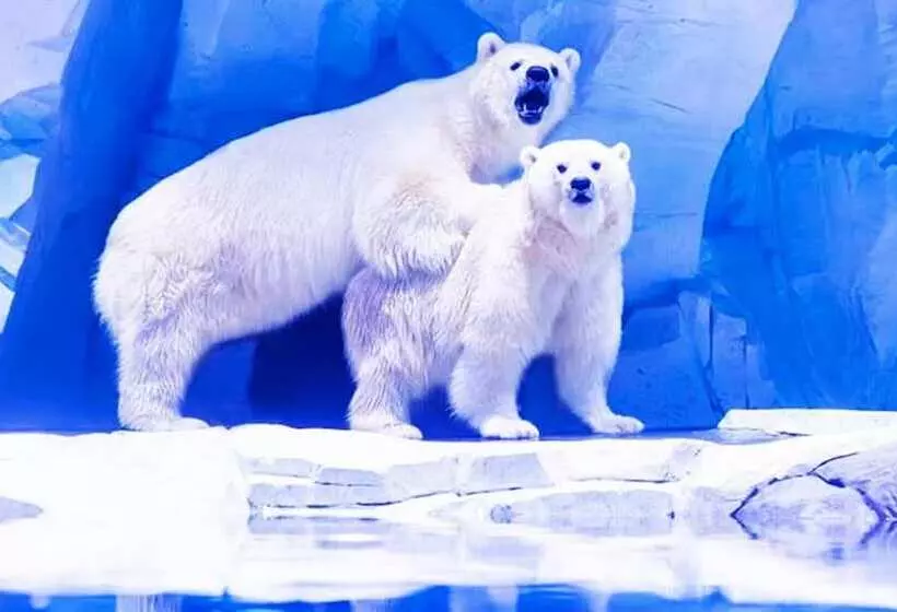 Hotelli Holiday Inn Shanghai Dishui Lake By Ihg