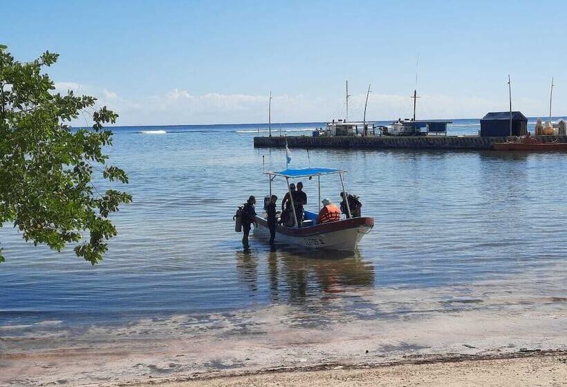 فندق Porto Coral