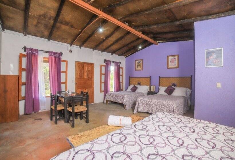 酒店 Centro Ecoturístico Tatu By Rotamundos