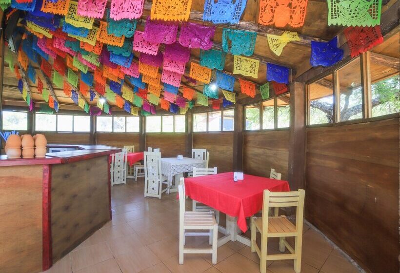 酒店 Centro Ecoturístico Tatu By Rotamundos