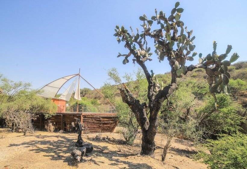 酒店 Centro Ecoturístico Tatu By Rotamundos