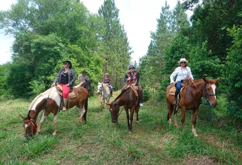 ホテル Estancia Las Mercedes