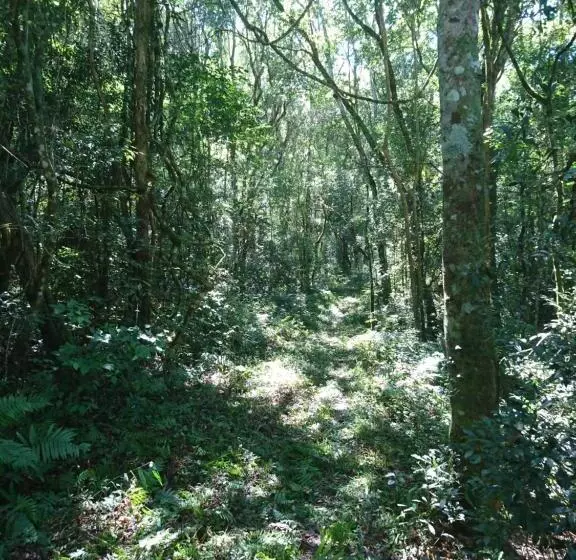 ホテル Estancia Las Mercedes