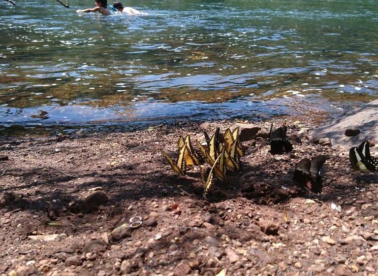 فندق Estancia Las Mercedes