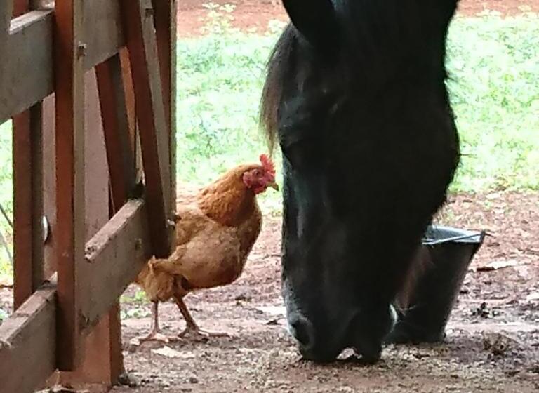 فندق Estancia Las Mercedes