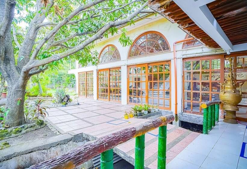 ホテル Star Cove Bed And Breakfast