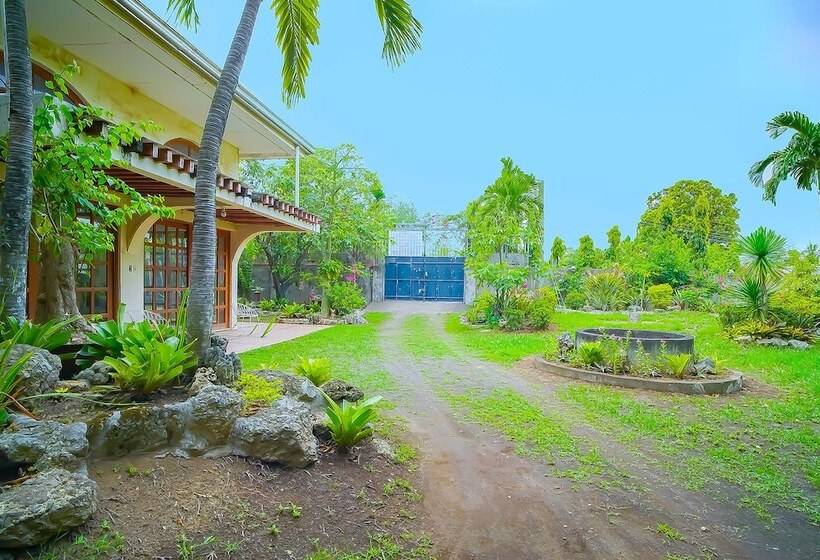 ホテル Star Cove Bed And Breakfast