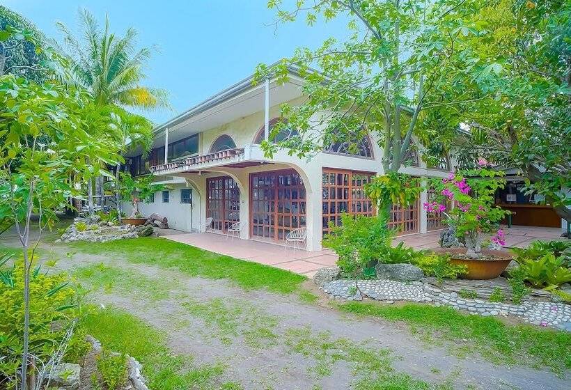 ホテル Star Cove Bed And Breakfast