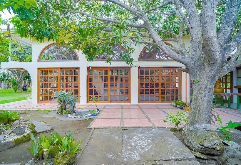 ホテル Star Cove Bed And Breakfast