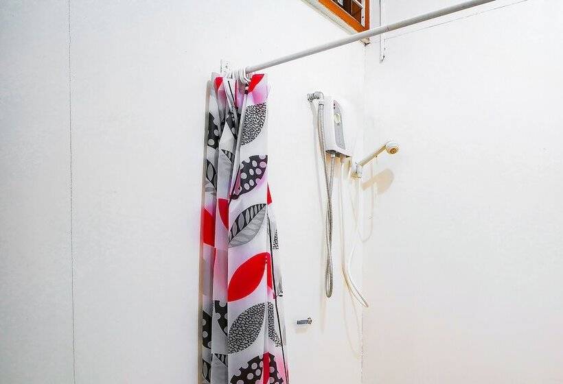 ホテル Star Cove Bed And Breakfast