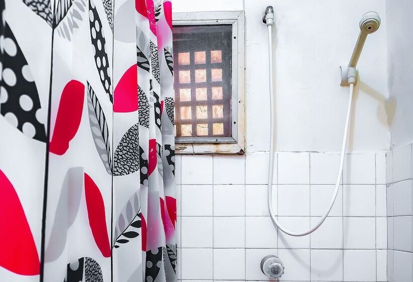 ホテル Star Cove Bed And Breakfast