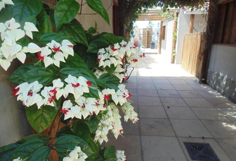 Chalé Palhano Beach