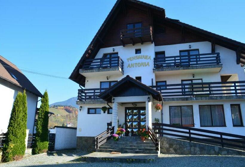 Pensiunea Antonia