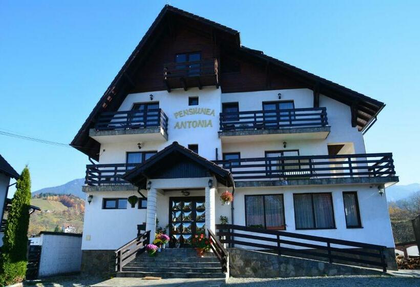 Pensiunea Antonia
