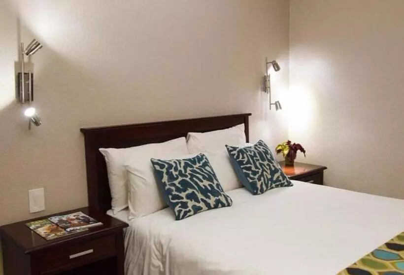 Hotelli 247 @ White River