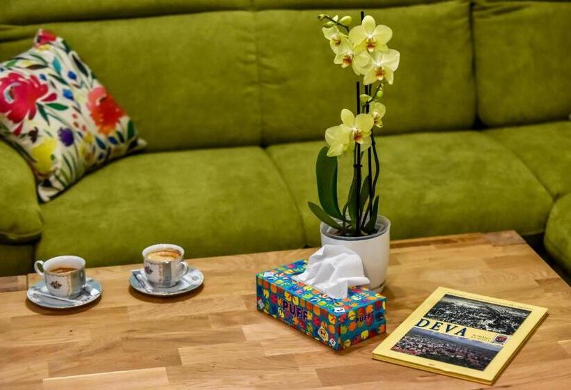 پانسیون Boutique House Deva