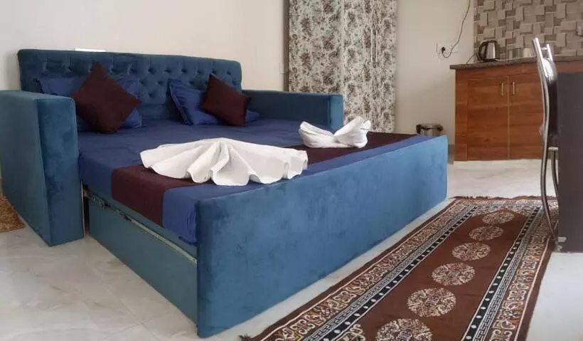 پانسیون Krishnabalram Wellness & Ayurveda Centre