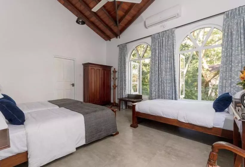 Aamiaismajoitus (B&B) Villa Merak, Digana