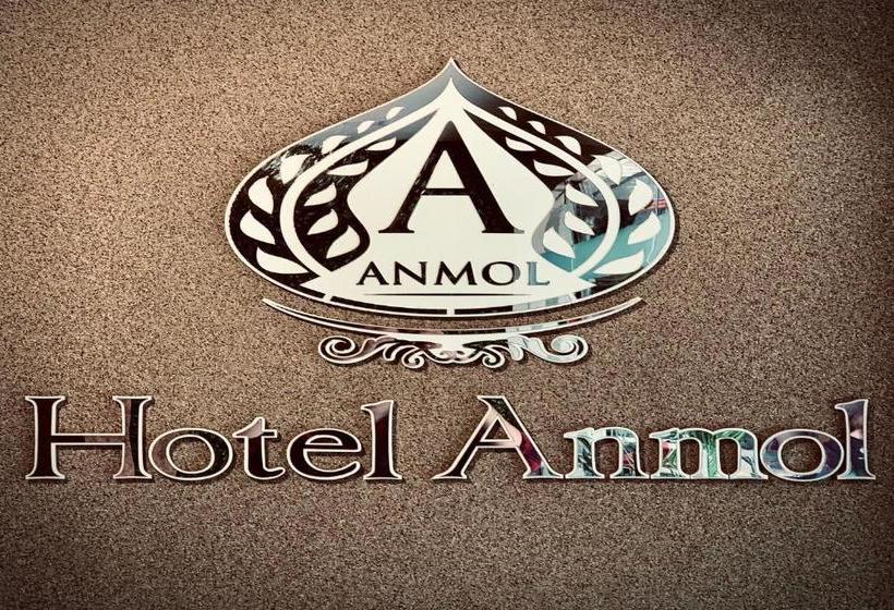 בית מלון כפרי Anmol Era