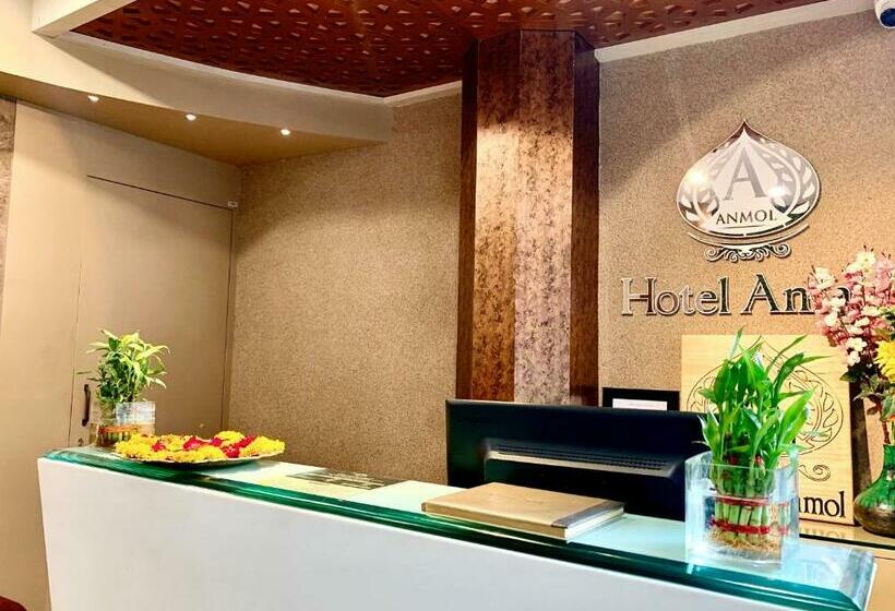 בית מלון כפרי Anmol Era