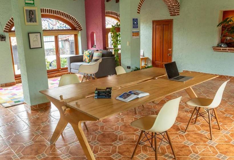 ホテル Colibrí Turquesa By Rotamundos