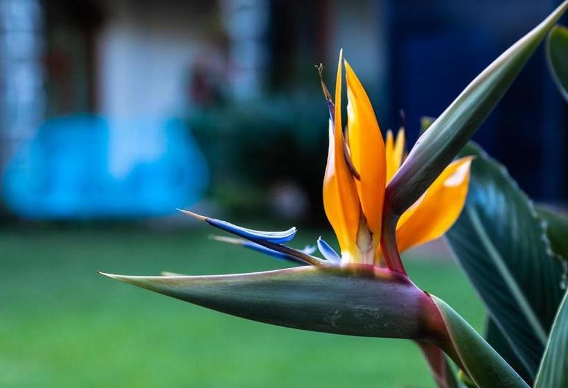 ホテル Colibrí Turquesa By Rotamundos