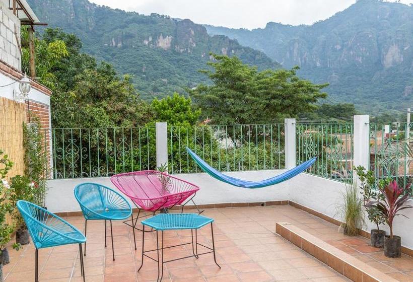 ホテル Colibrí Turquesa By Rotamundos