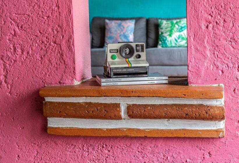 ホテル Colibrí Turquesa By Rotamundos