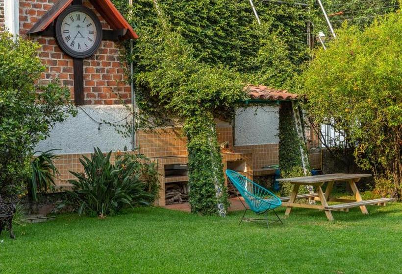 ホテル Colibrí Turquesa By Rotamundos