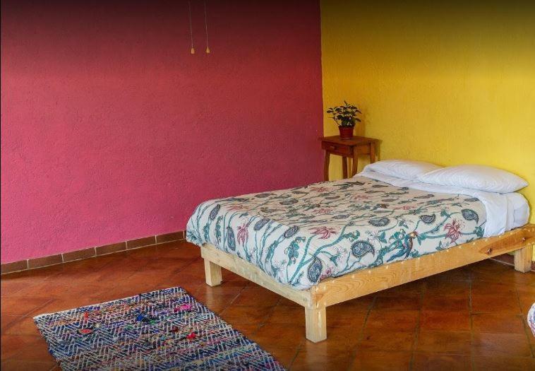 ホテル Colibrí Turquesa By Rotamundos