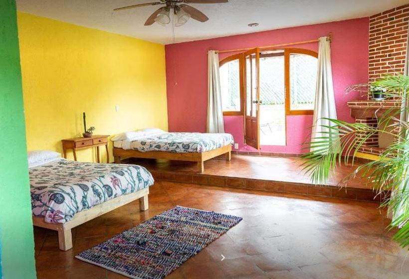 ホテル Colibrí Turquesa By Rotamundos