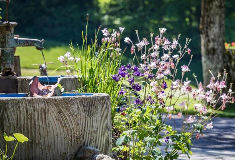 Hotel Pension Oechsner