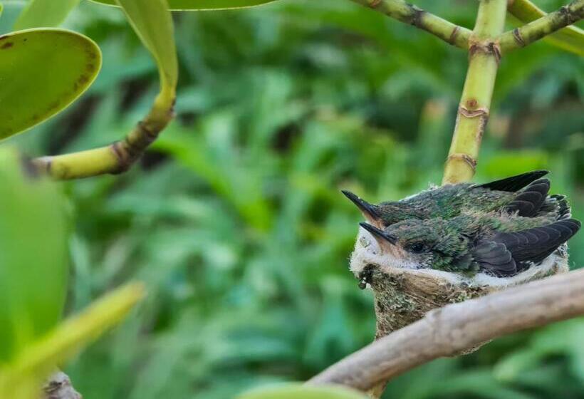 استراحتگاه Filha Da Lua Ecolodge