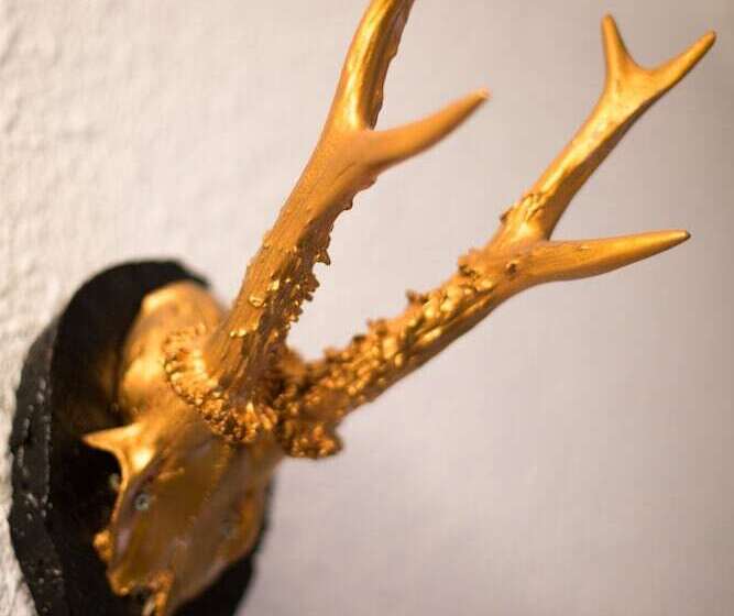 Hostal Cisco De Sans